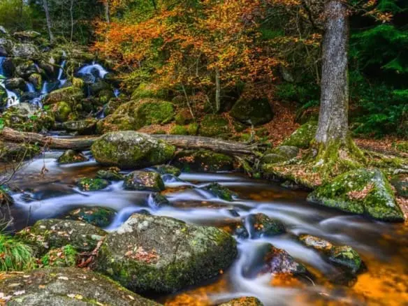 Dartmoor National Park