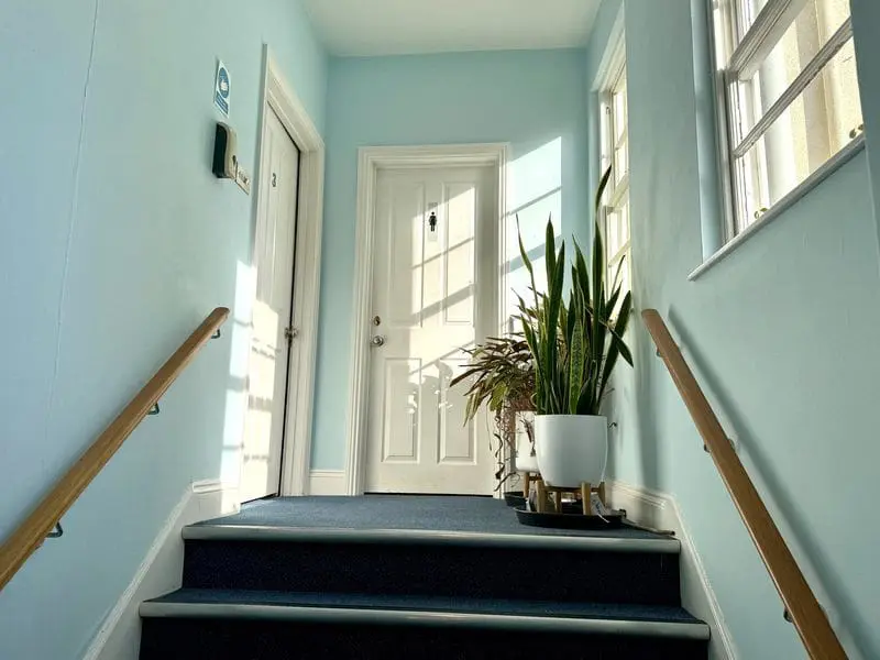 800