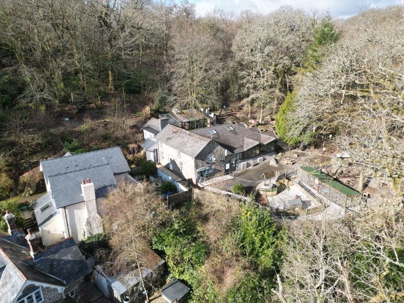800
